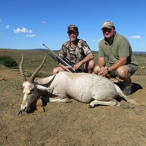 White Blesbok Hunt South Africa