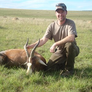 South Africa Hunting Blesbok