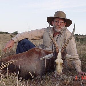 Hunt Blesbok in South Africa