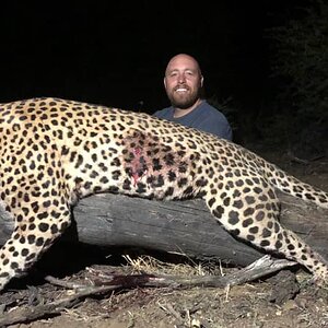 Hunting Leopard in Namibia