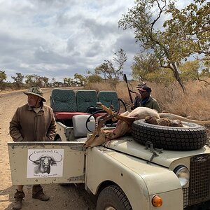 Zimbabwe Hunting Impala