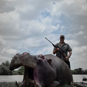 Hippo Hunt South Africa