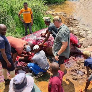 South Africa Hunt Hippo