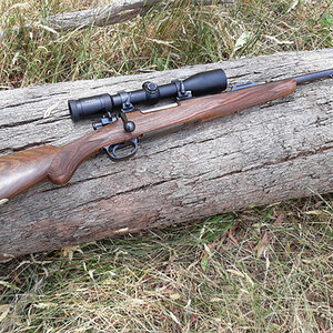 Rigby 275 Rifle