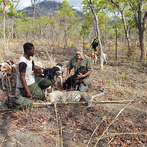 Hunting Leopard in Mozambique