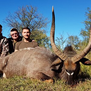 Nyala Hunt South Africa