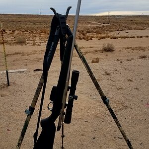 BOG-POD Shooting Stick Tripod Adrenaline
