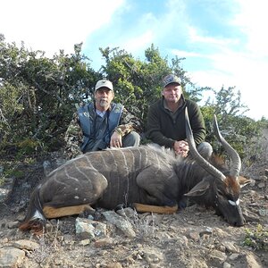 Hunting Nyala in South Africa