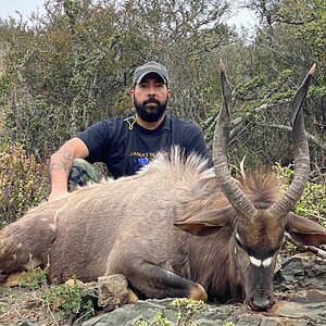 Nyala Hunting In South Africa