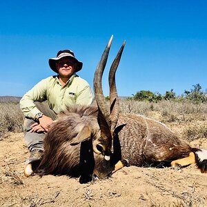 Hunting Nyala in South Africa