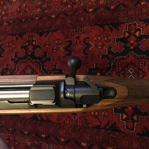 CZ in 375 Holland & Holland Hunting Rifle