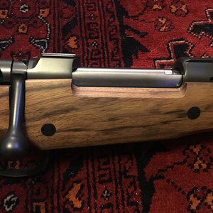 CZ in 375 Holland & Holland Hunting Rifle