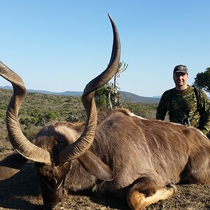 Hunting Kudu Africa