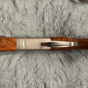 Chapuis Brousse in .375 H&H