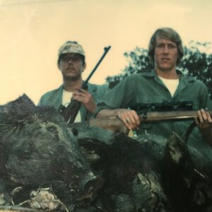 Hunting Pigs 1978 Monterey County