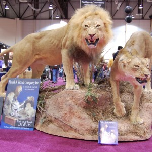 Taxidermy at Safari Club International Convention