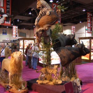 Taxidermy at Safari Club International Convention