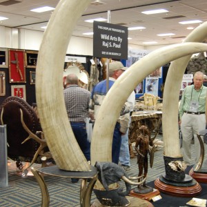 Taxidermy at Safari Club International Convention