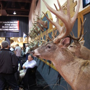 Taxidermy at Safari Club International Convention