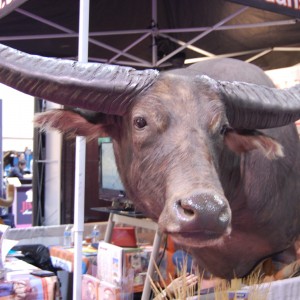 Taxidermy at Safari Club International Convention