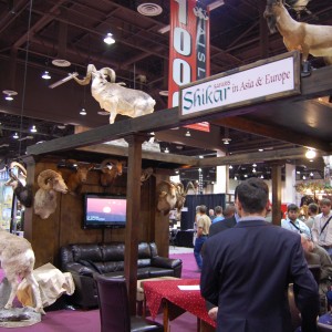 Taxidermy at Safari Club International Convention