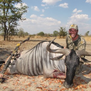 Bowhunting Cookson Wildebeest in Zambia