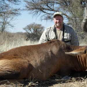 Hunting Hartebeest