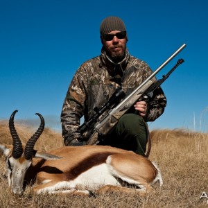 Hunting Springbok