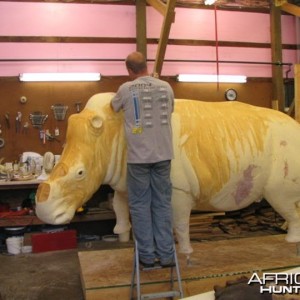 Rhino mounted by Black Creek Taxidermy