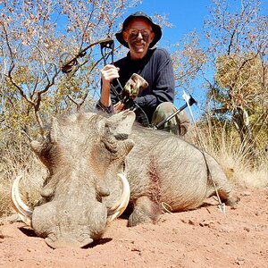 Warthog Bowhunting