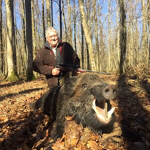 Pig Hunting Croatia