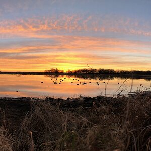 Ranger Creek Goose Texas