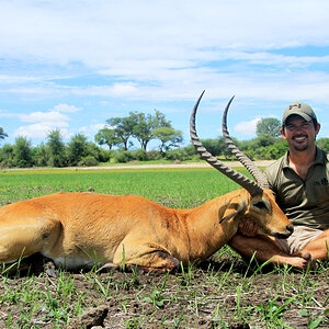 Impala Hunting Namibia