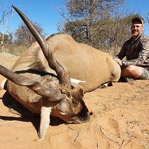 Eland Hunt South Africa