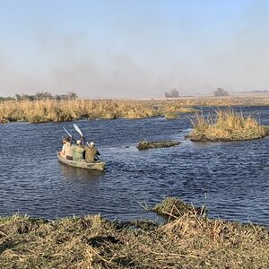 Hippopotamus Hunt Namibia