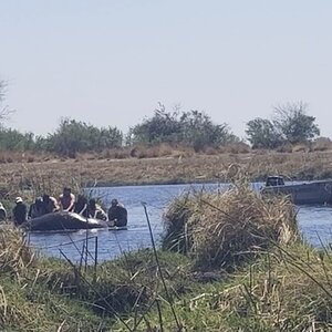 Hippopotamus Hunt Namibia