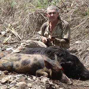 Bushpig Hunting