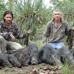 Bushpig Hunting