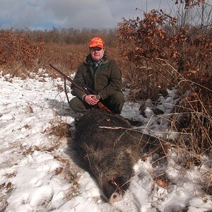 Pig Hunting Hungary