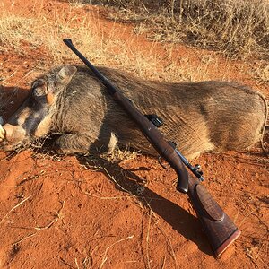 Warthog South Africa