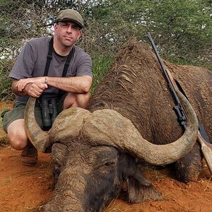 Buffalo Hunting South Africa