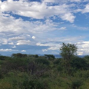 Landscape South Africa