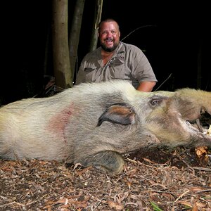 Bushpig South Africa