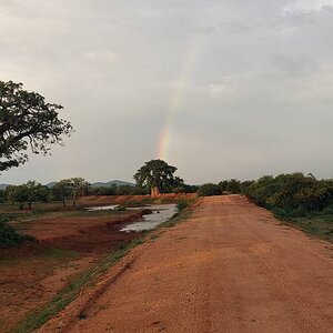 Limpopo Nature