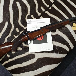 450 Rigby Rifle
