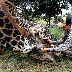 Black Giraffe Bow Hunt