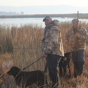 Wild waterfowl shooting South Africa