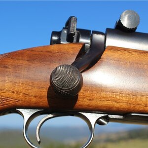 .375 H & H Magnum Pre-64 Winchester Model 70