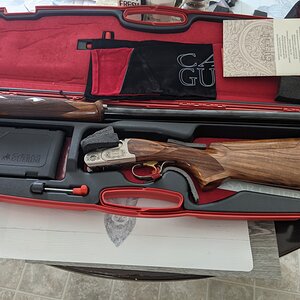 Caesar Guerini Shotgun