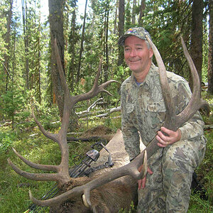 Elk Hunting in Montana